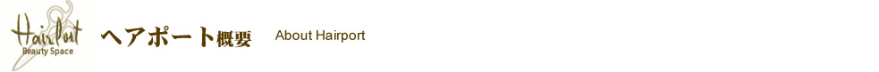 ヘアポート 概要